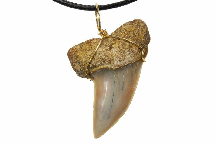 Fossil Hooked White Shark Tooth Necklace - Bakersfield, California #318863